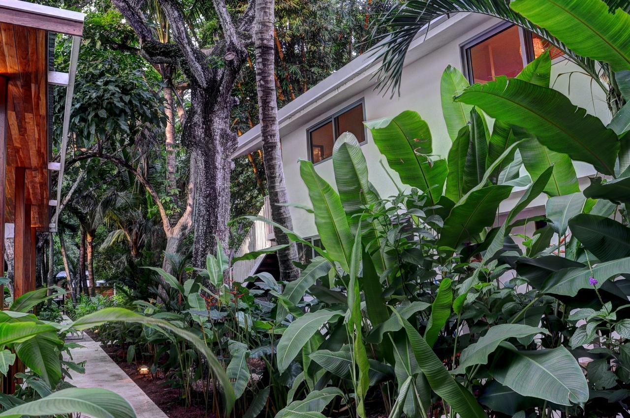 Moana Surf Resort Nosara Eksteriør billede